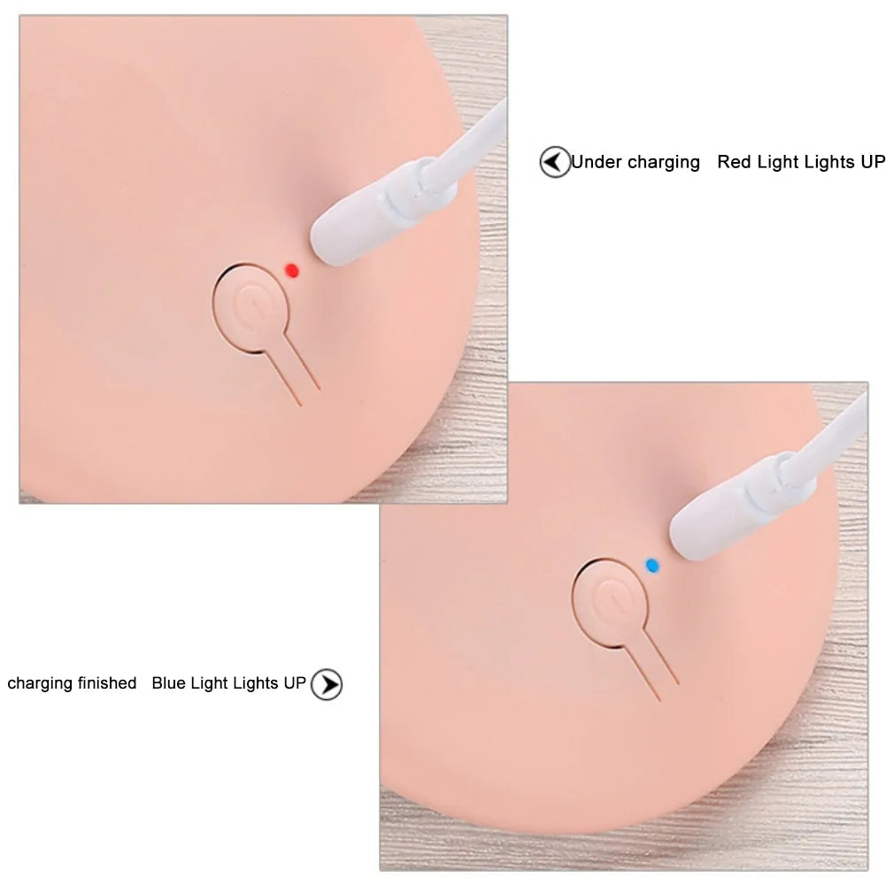Rechargeable LED Handheld Makeup Mirror