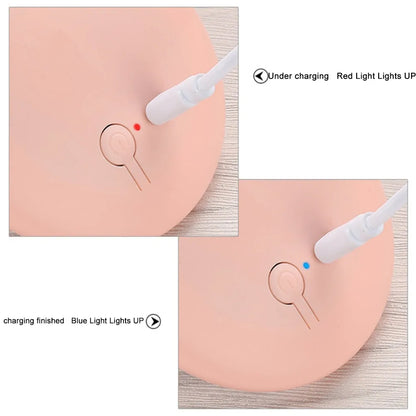 Rechargeable LED Handheld Makeup Mirror