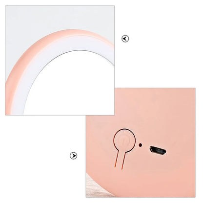 Rechargeable LED Handheld Makeup Mirror